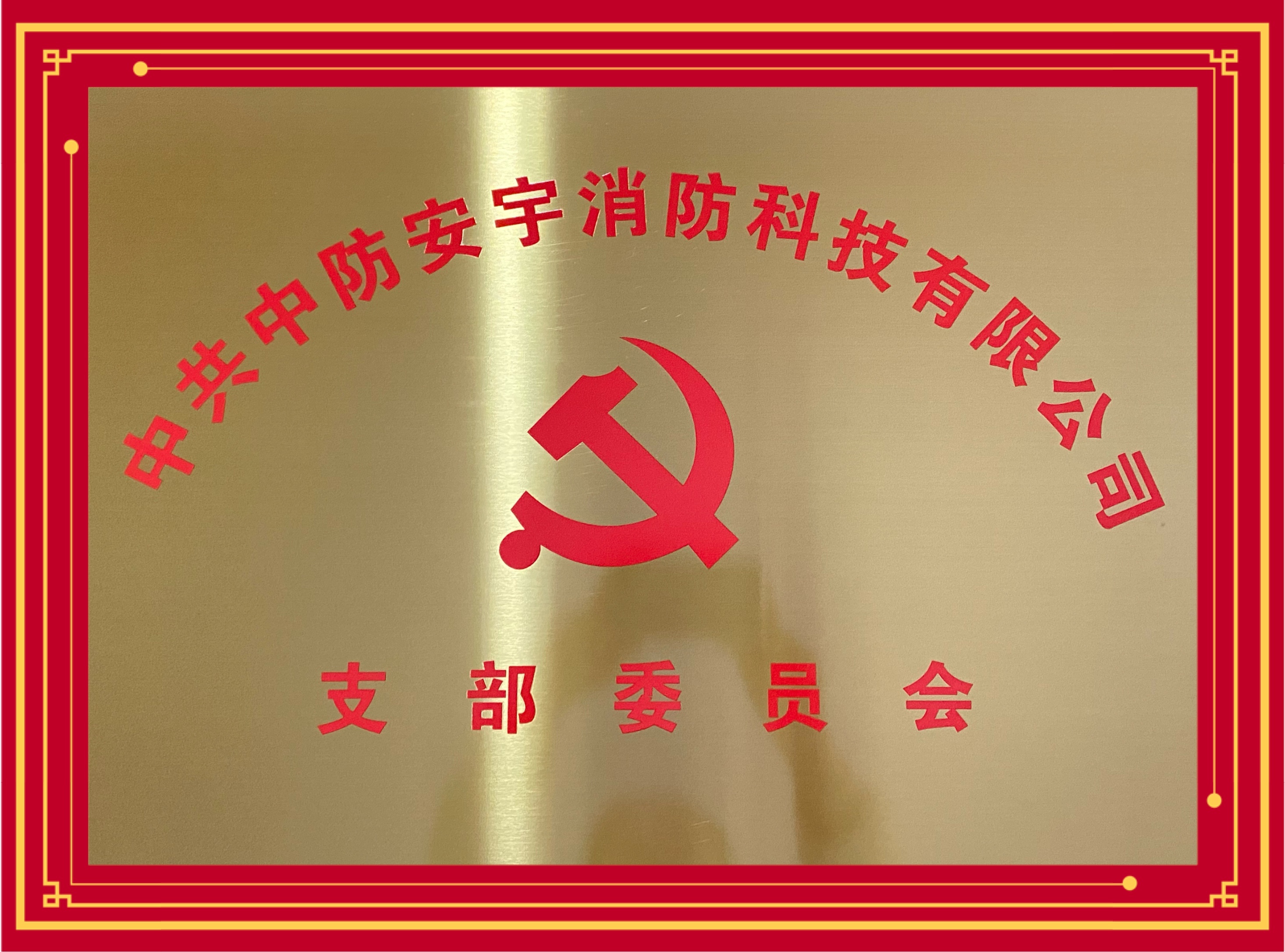 中共中防安宇消防支部委员会.jpg